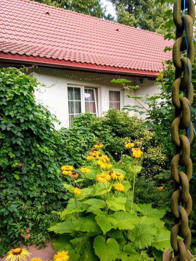 Bialy Dom Lejlighedshotel Ściegny Eksteriør billede